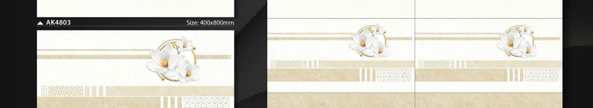40x80