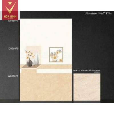 Gạch ốp tường Ceramic 30cm x 60cm